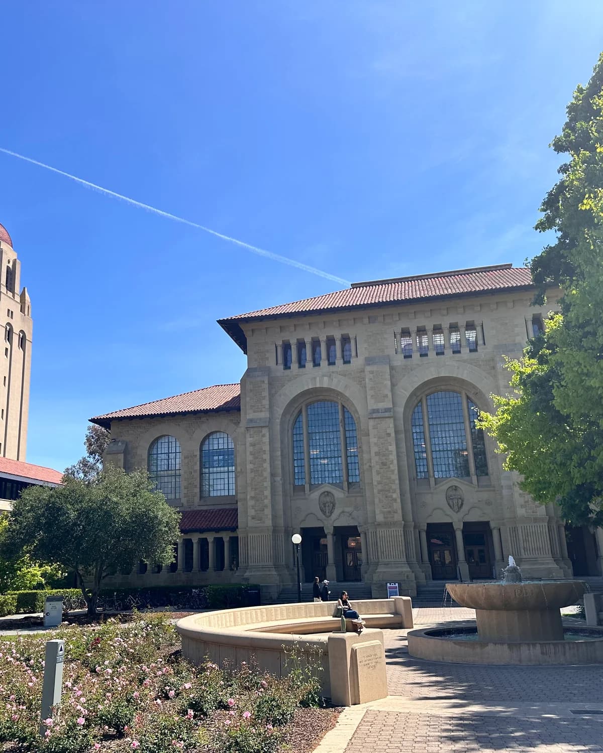 Stanford Main Quad in late-afternoon light (or a Mission rooftop with the SF skyline)